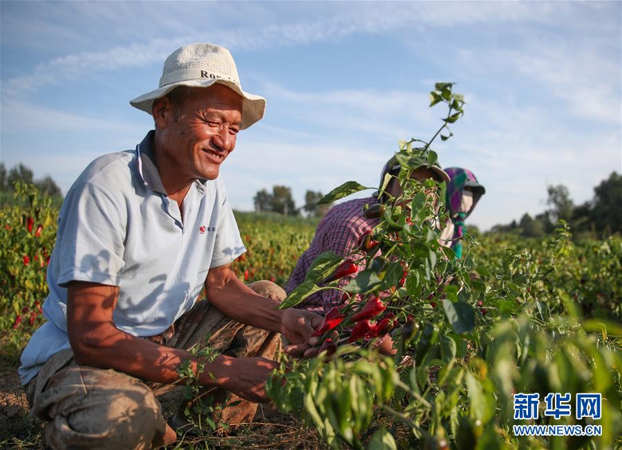 （在習(xí)近平新時(shí)代中國(guó)特色社會(huì)主義思想指引下——新時(shí)代新作為新篇章·總書(shū)記關(guān)切高質(zhì)量發(fā)展·圖文互動(dòng)）（1）翻過(guò)“貧困”山，通向“幸?！闭尽撠毠?jiān)“殲滅戰(zhàn)”里的小故事