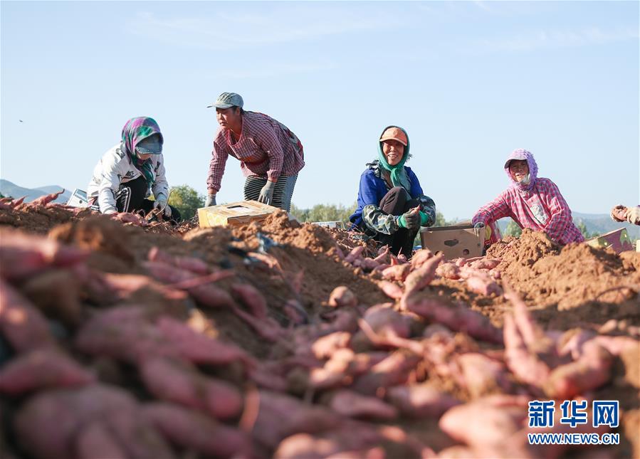 （在習(xí)近平新時(shí)代中國(guó)特色社會(huì)主義思想指引下——新時(shí)代新作為新篇章·總書(shū)記關(guān)切高質(zhì)量發(fā)展·圖文互動(dòng)）（2）翻過(guò)“貧困”山，通向“幸福”站——脫貧攻堅(jiān)“殲滅戰(zhàn)”里的小故事