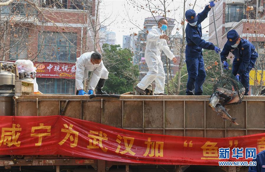 （新華全媒頭條·圖文互動）（11）風雨無阻向前進——寫在全國疫情防控阻擊戰(zhàn)取得重大戰(zhàn)略成果之際