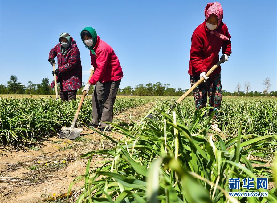 （新華全媒頭條·圖文互動）（17）從人民中汲取磅礴力量——習近平總書記同出席2020年全國兩會人大代表、政協(xié)委員共商國是紀實